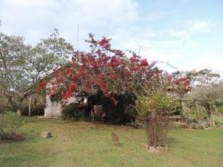 Pousada Sitio Da Serra Carrancas Luaran gambar